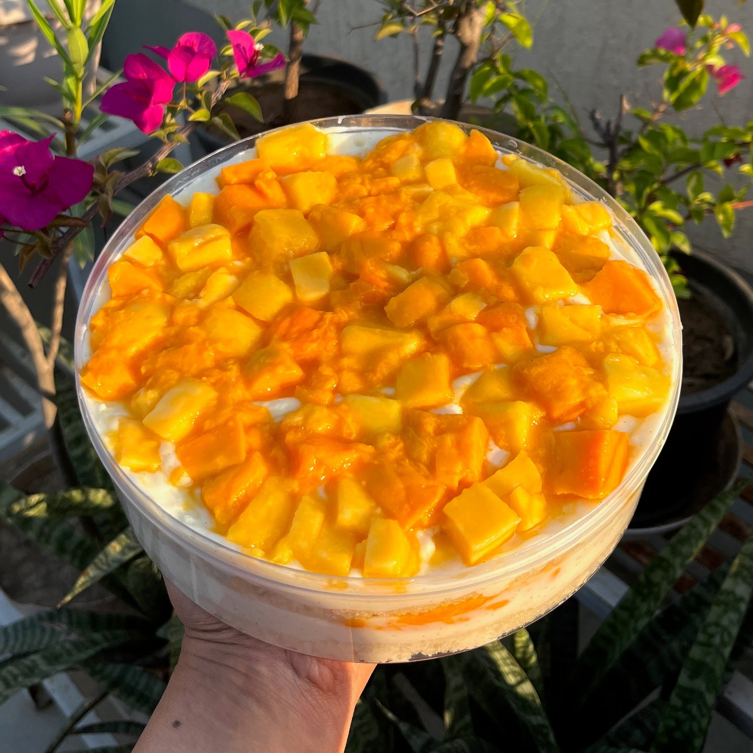 Summer Mango Menu